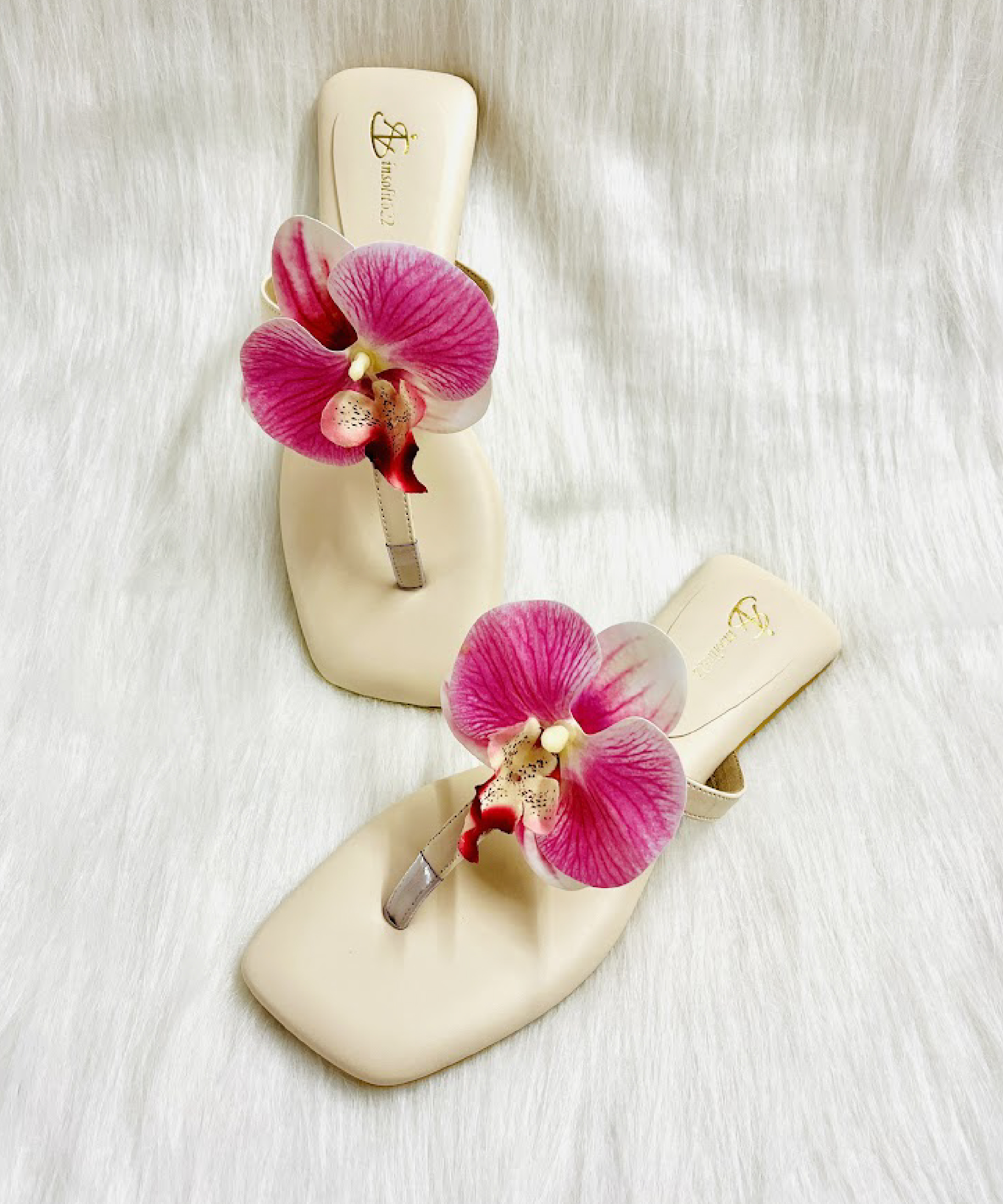 Orchid - Image 3