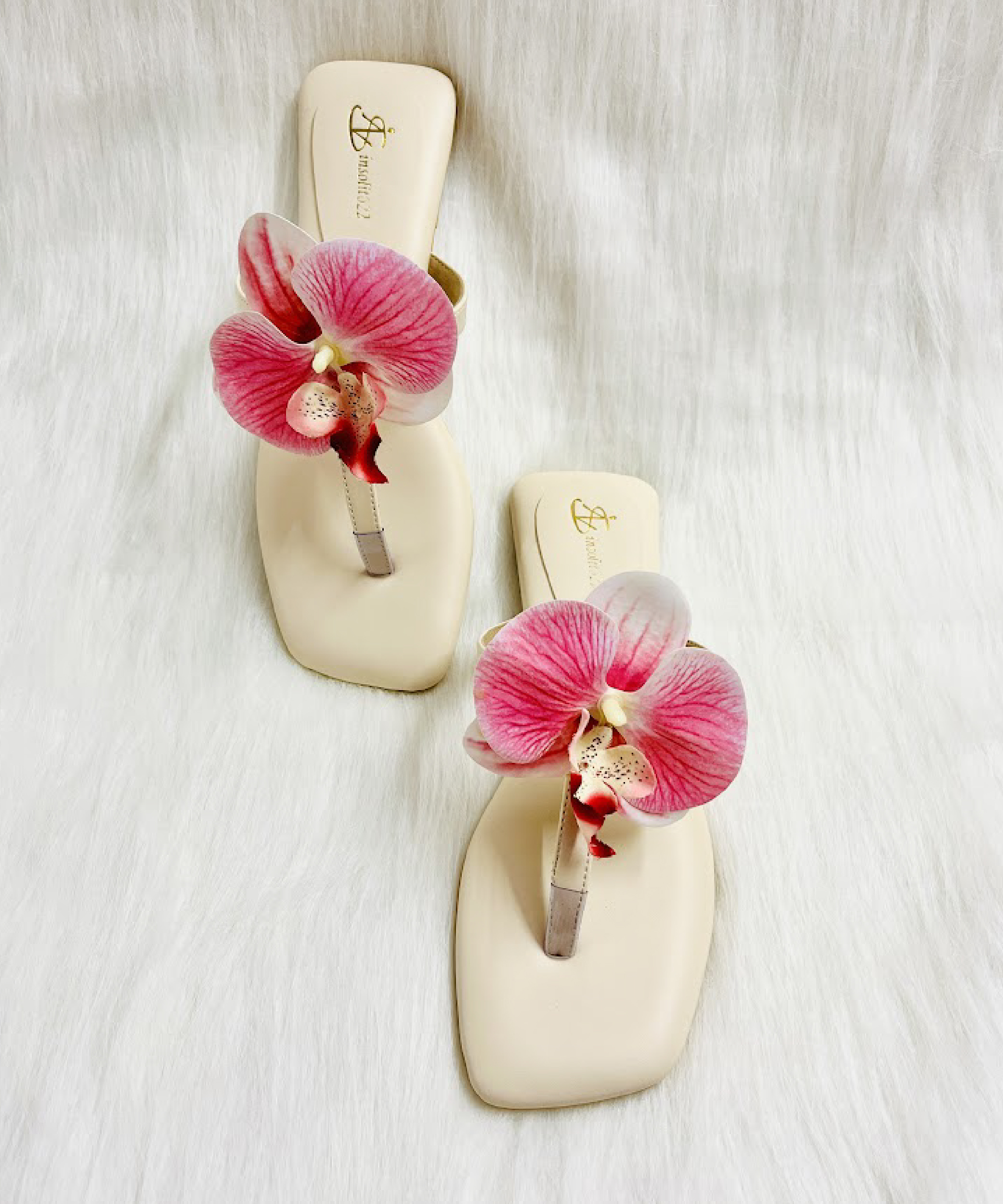 Orchid - Image 5