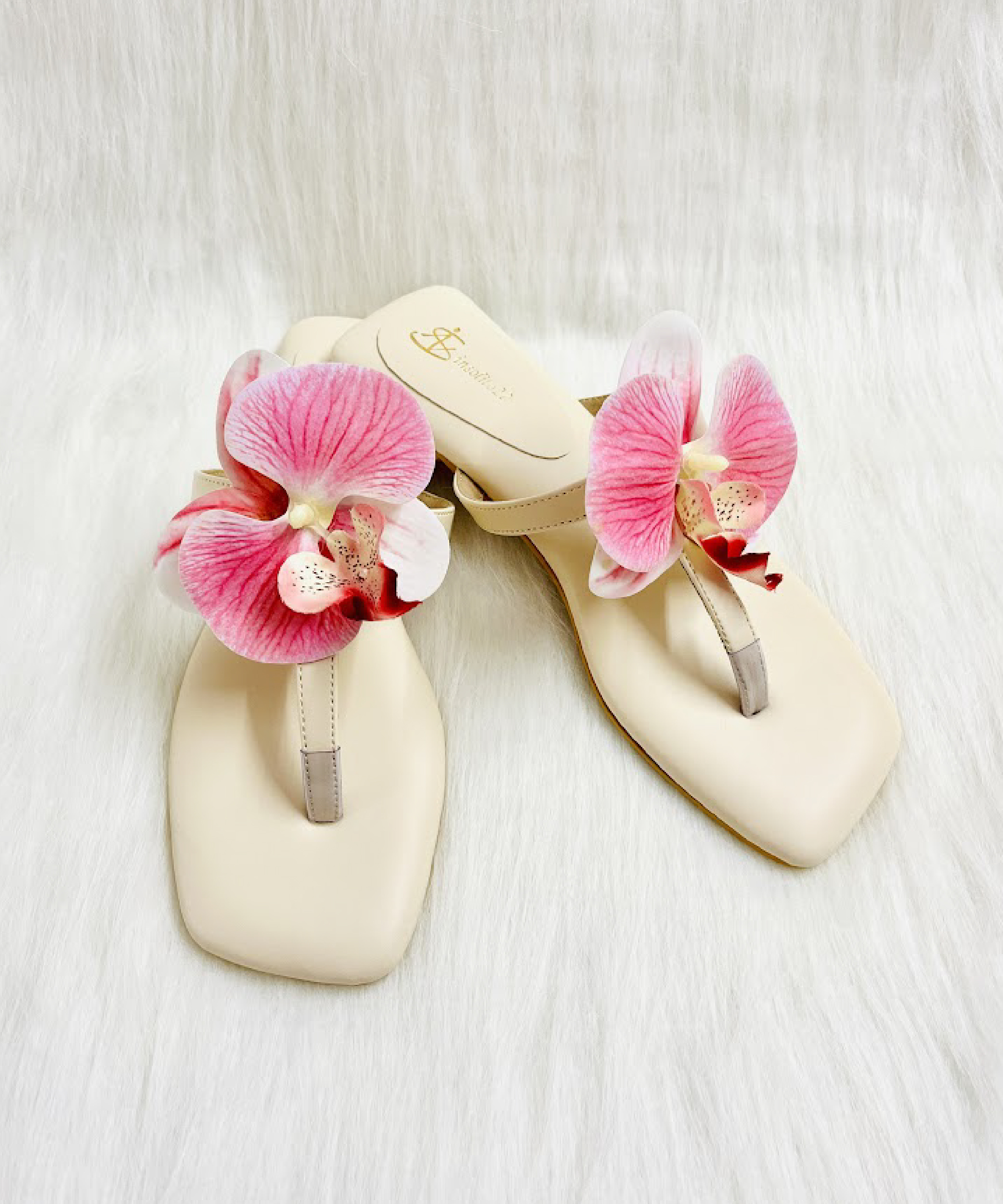Orchid - Image 6