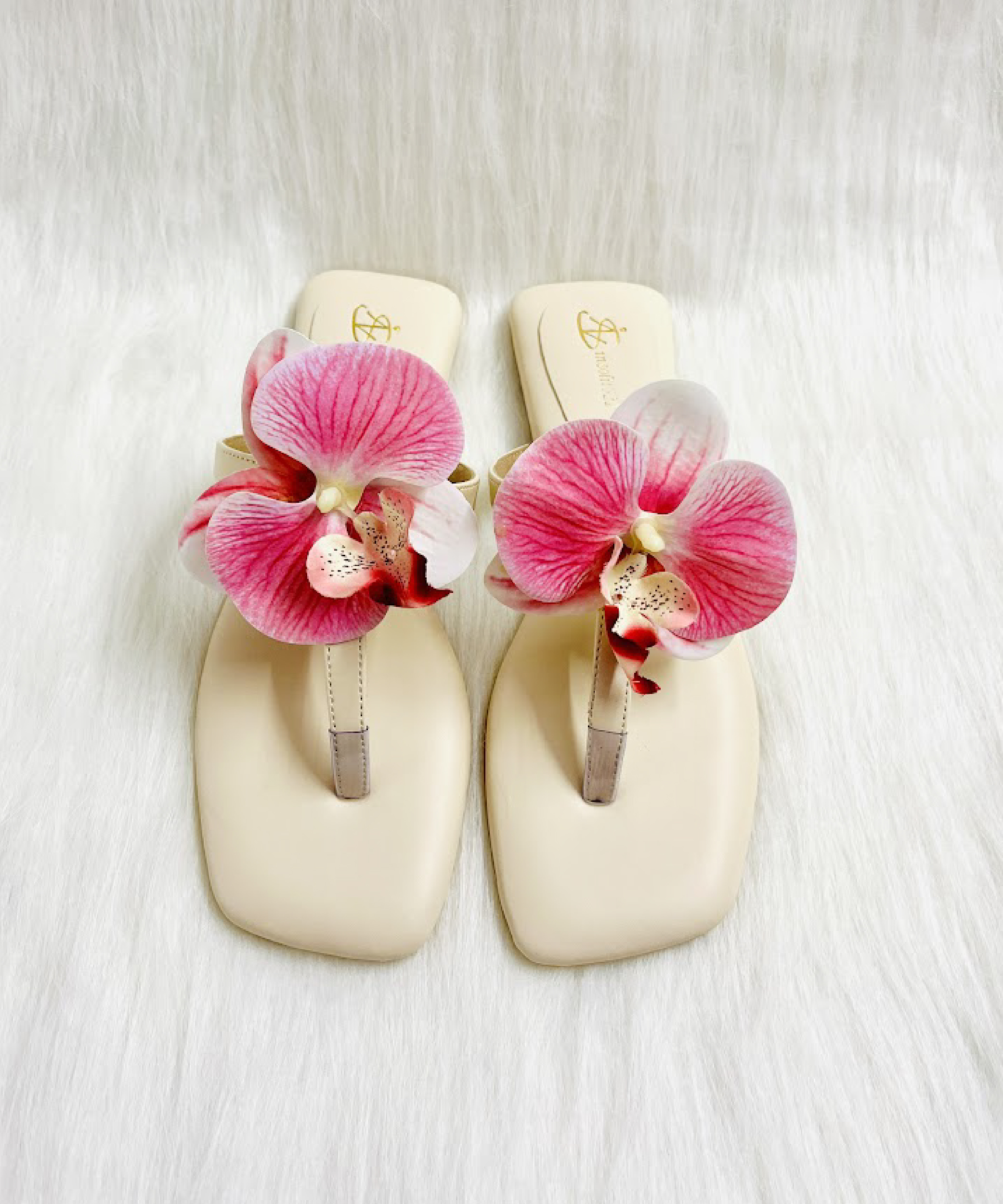 Orchid - Image 7